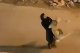 科威特一头狮子在大街上游荡，小姑娘直接将其摁下抱回家图片