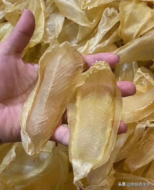 白花胶有什么功效与作用 白花胶有什么功效与作用图片