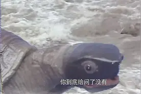 读完原著一身汗，难怪唐僧不帮老龟问寿命，你看这样做的后果是啥图片