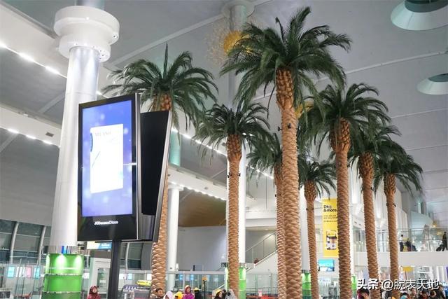 ȥ��ʿ����֮����Щ����ﲻס��