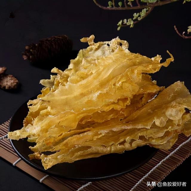 智利特产花胶 智利特产花胶怎么样