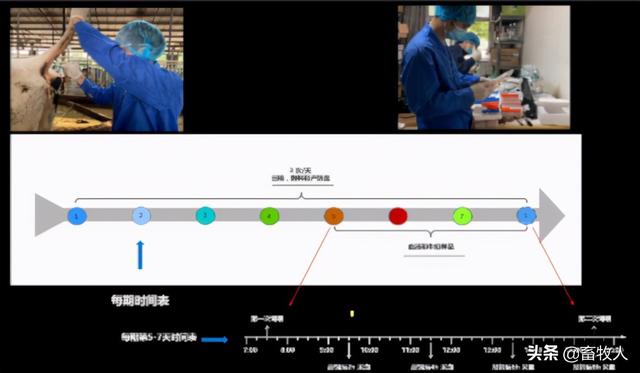銆屽涔犵瑪璁般€嶅崪鐧绘攢鐮旂┒鍛橈細杩囩槫鑳冩皑鍩洪吀鐢熺墿鍒╃敤鐜囪瘎浠蜂笌鍒╃敤