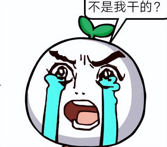 16岁少女坐火车硬卧被侵犯，男子被抓后狡辩称：我就蹭了蹭没进去