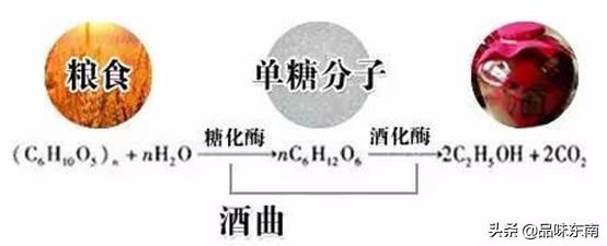 你知道酒曲对于酿酒的影响吗？
