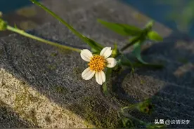 心累的时候，读一读这三段话，豁然开朗图片