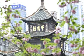 贵阳跻身全国包车游十大热门目的地图片