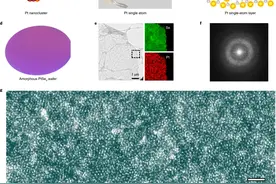 单原子层催化高效制氢，何勇民/刘政/王岐捷 Nature Catalysis图片