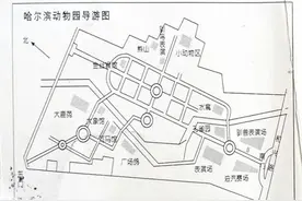 动物园能不能搬回来？图片