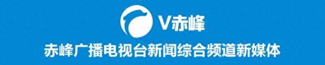 房产证查询征信逾期，查征信步骤流程 配图07
