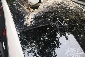 暴晒烫人、增加砸穿风险，全景天幕夏天开始“车主大烤”图片