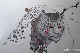 临沧出现罕见的山海经神兽，像猫又像熊，身上散发糯米饭的香甜味图片