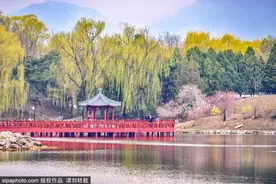初夏风光无限，京城皇家园林美景如画～图片