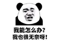 冬季养宠最大的烦恼——掉毛！掉毛！掉毛！该怎么破？图片