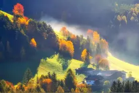 深度解析2022年新高考英语全国卷1语法填空图片