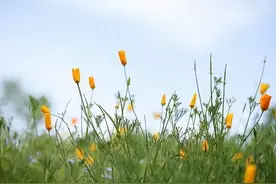 不管婆媳关系好不好，有两样东西不能互送，以免相互嫌弃图片