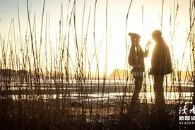 婚姻过得好的人，都在装傻图片