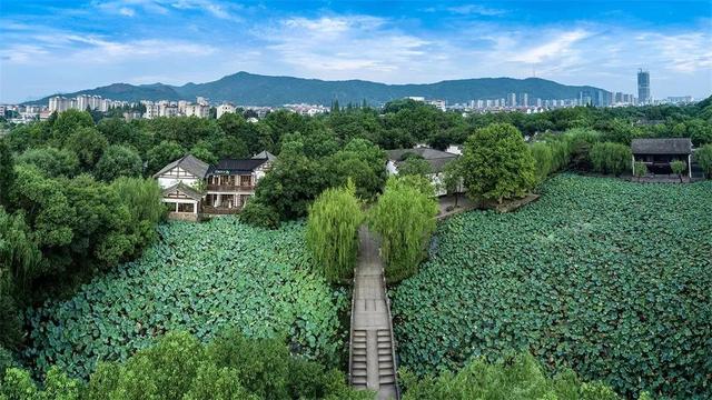拍点发现 | 今年夏天,去这些地方拍荷花
