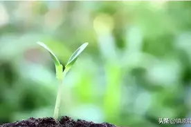 强大自己，才是王道图片