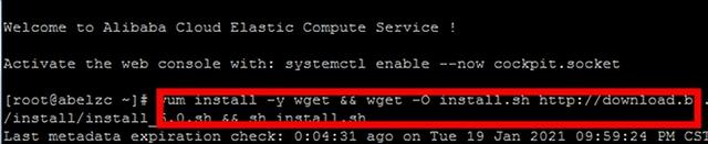 新手如何创建个人网站