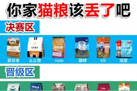 别再喂猫咪这些粮了，它们上了猫粮黑榜图片