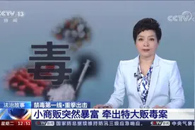 开封警方侦破特大贩毒案！图片