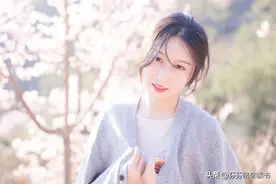 血泪的教训，头条创造这4个坑千万不要踩（亲身经历）图片