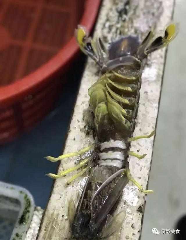 40头的花胶是几级 2025年花胶40头是什么意思?