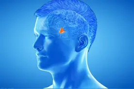 酒后行为失控的始作俑者，竟然是它？图片