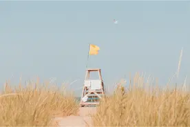 写论文必备的查找文献的技巧图片