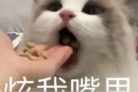 炫我嘴里表情包图片