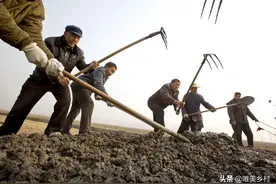 五年之后，农村土地有偿退出全国普及，农民该不该早做打算呢？图片