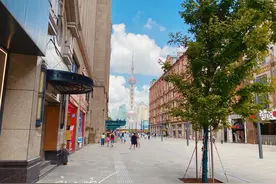 我在上海住了十年，刚搬来广州一年，这两座城市有什么不一样？图片