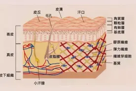 美容缝合后是否就不留疤了？图片