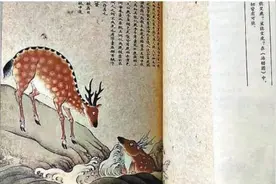 【绿海·风景】海蜇水多，阎王鬼多图片