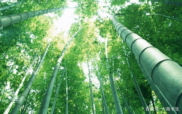 销售应该掌握的技巧和方法