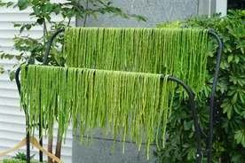 趁着日头烈，记得把6种菜晒成干，留到秋冬炖肉吃，别提多香了图片