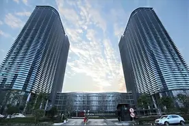 杭州科技“隐形冠军”：收入超过800亿元，连续四年蝉联全球第一图片