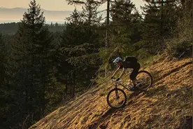 禧玛诺山地车变速器介绍图片