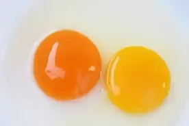 【山东科协每日科普】蛋黄越红越有营养吗？图片