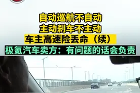 极氪主动刹车失效车主高速险丢命图片