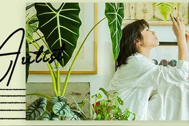 90后妈妈花3年时间，在北京打造室内“小森林”，满屋绿意图片