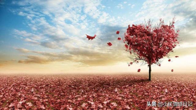 情感美文：深爱从不宣扬，思念落至无声