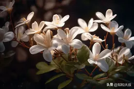 好父母的7条标准，中3条以上的，孩子长大必有出息图片