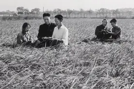 袁隆平生前有一本“特殊驾照”，跟一般人的相比，额外印了9个字图片