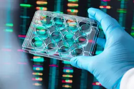 健康筛查、基因测试可发现早发性心脏病风险，有效预防年轻人猝死图片