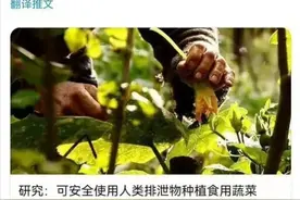 欧洲宣布重大发现：人体排泄物可以做肥料！聊聊欧洲农业的历史图片