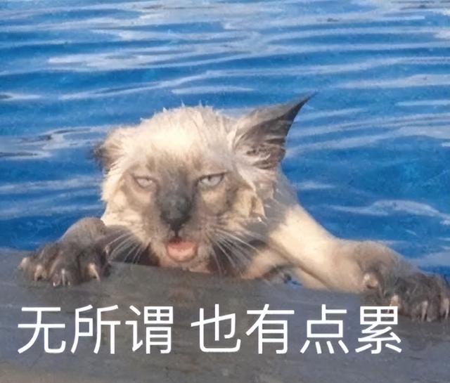 女儿出嫁,嫁妆预算50万,是给她现金,还是买房买车?最好的答案