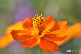 单身女人爱上已婚男人后，大多都逃不过以下三种结局图片