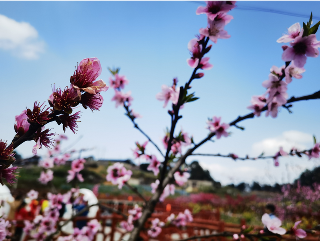 四川省民生研究会新媒体中心-官网