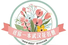 春天来了，和“她”谈一场恋爱吧！图片